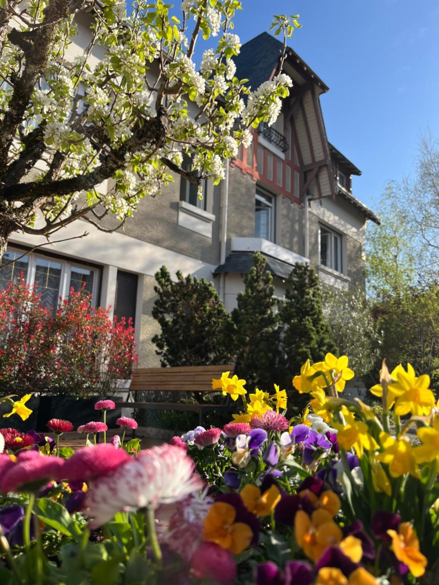 Logis Hotel Le Saint Florent Mont-pres-Chambord Luaran gambar